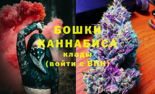 стаф Вязьма